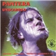 Pantera - Unscarred